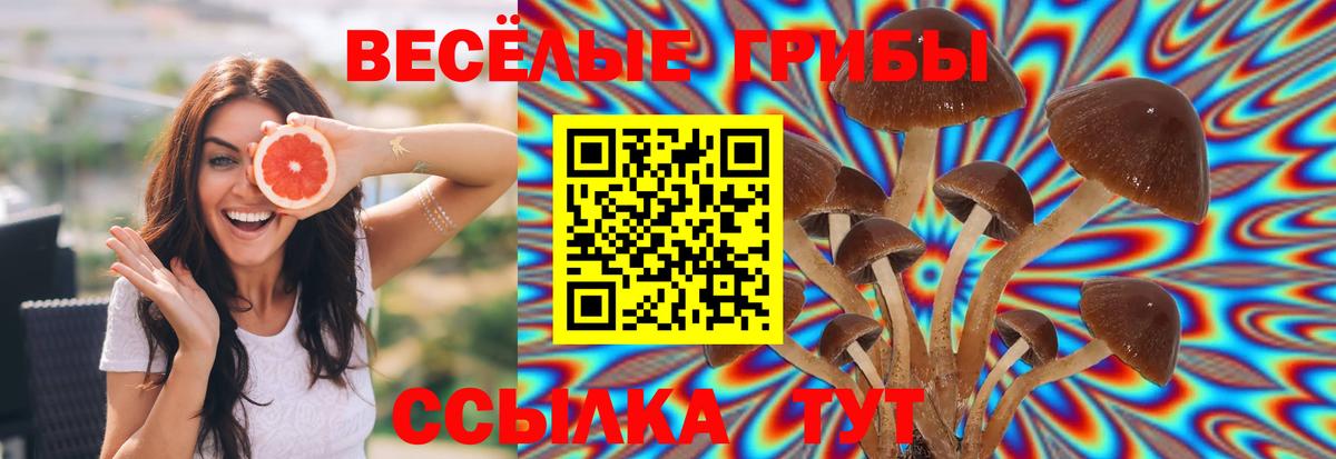 Азнакаево  Галлюциногенные грибы Cubensis  Вход с VPN 