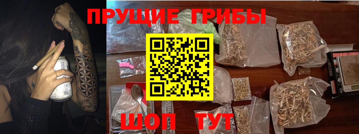 Псилоцибиновые грибы Psilocybine cubensis Азнакаево